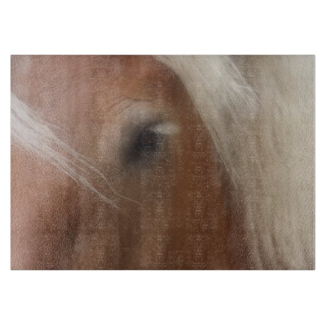 Öga i ett belgiskt utkast till häst (Framsidan)