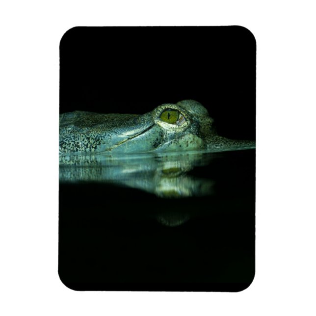 Öga i Gharial Magnet (Vertikal)