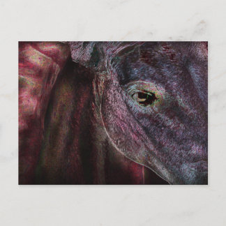 Öga i innehavaren - betalkort vykort