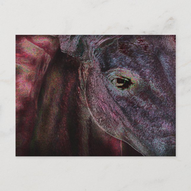 Öga i innehavaren - betalkort vykort (Framsida)