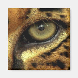 ÖGA i JAGUAR Big Cat Wildlife Magnet