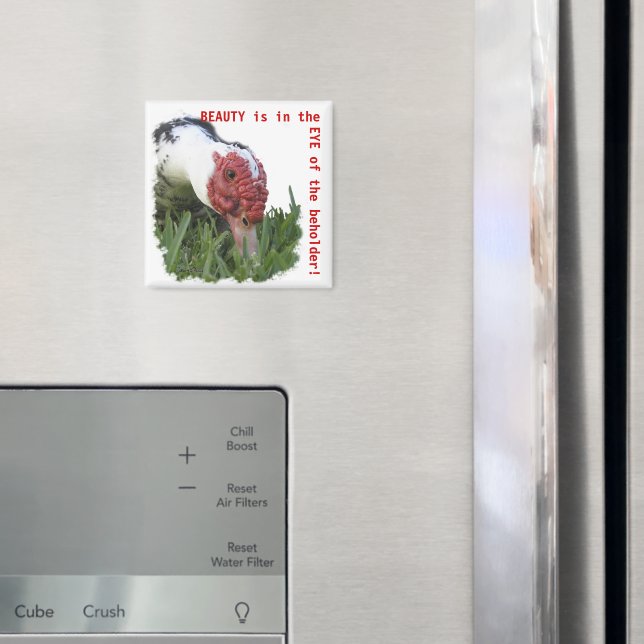 Öga i närfoto Anka Magnet (In Situ (Fridge))