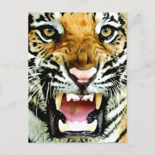 Öga i Tiger Vykort