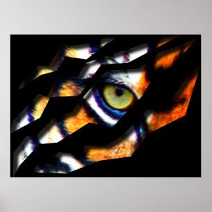 Öga i tigern genom poster