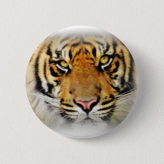 Öga i tigern, Kärlek_ Knapp (Framsida)