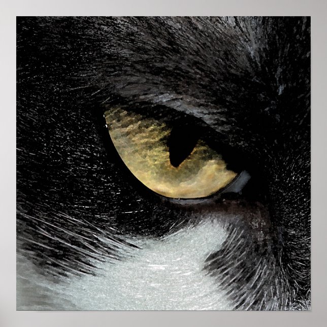 Öga i tigern poster (Framsidan)