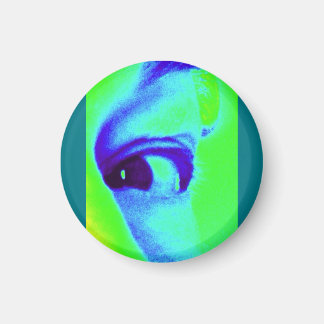Öga Magnet