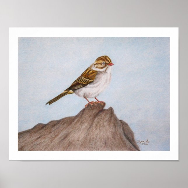 Öga på Sparrow 11"x14"-utskrift Poster (Framsidan)