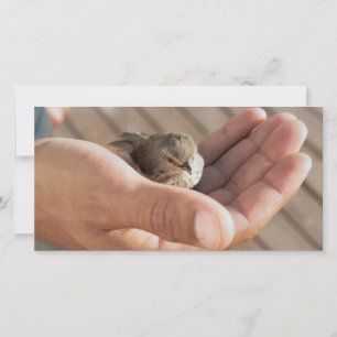 Öga på Sparrow Christian Photo Card