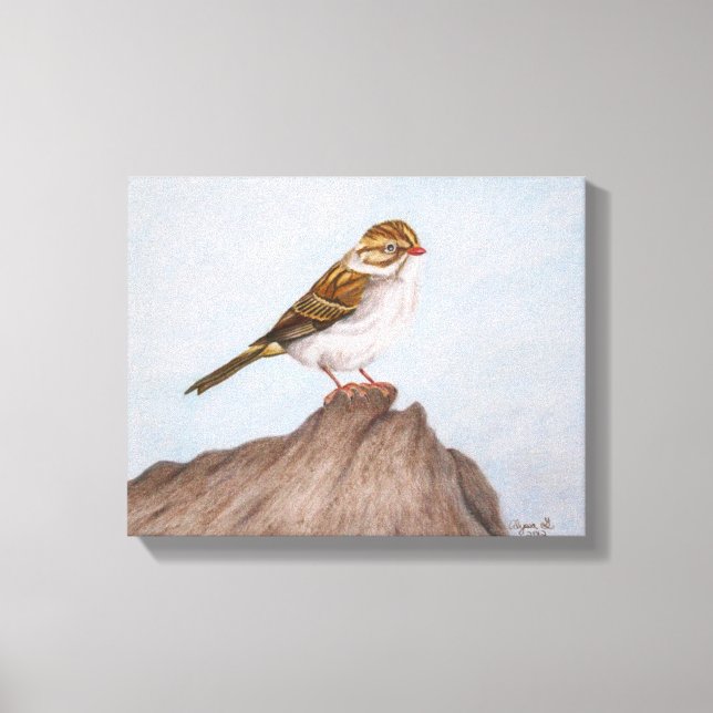 Öga på Sparrow Wrapped Canvas (Framsida)