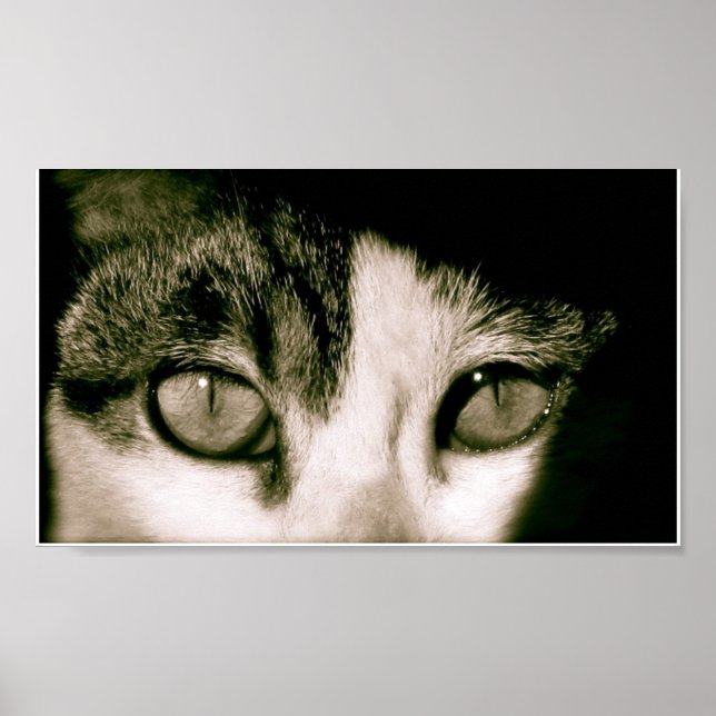 Öga Poster (Framsidan)