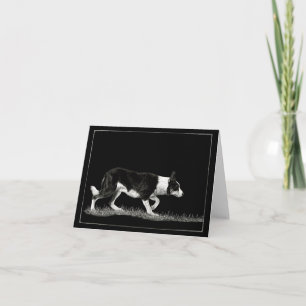 "Öga See Ewe" - Gräns Collie Card Kort