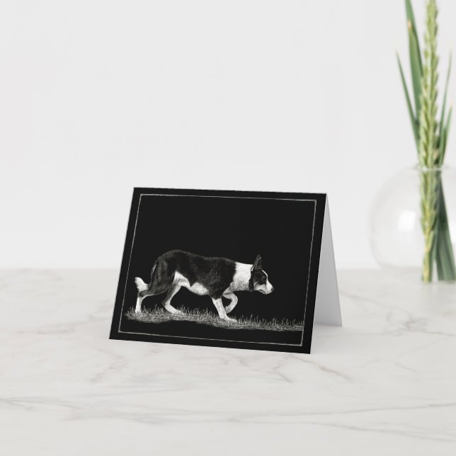 "Öga See Ewe" - Gräns Collie Card Kort (Framsida)