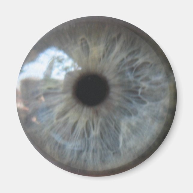 Öga ser att du har ett drapport magnet (Framsidan)