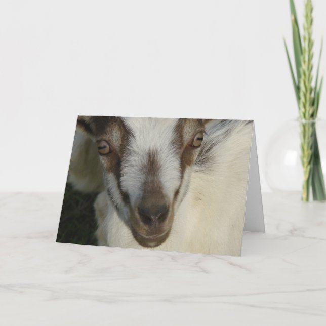 Öga ser dig kort (Framsida)