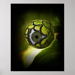 Öga ska träffa dig i Garden i kväll! Poster