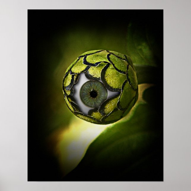 Öga ska träffa dig i Garden i kväll! Poster (Framsidan)