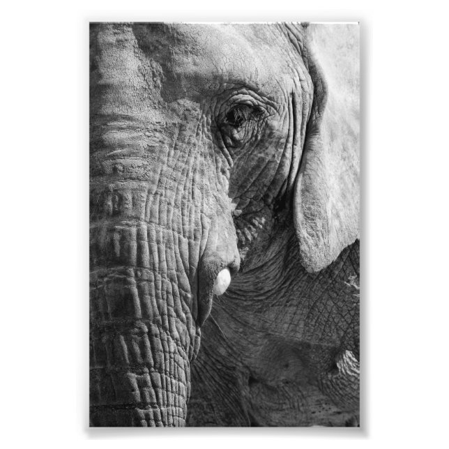 Öga Spy Fototryck (Framsidan)