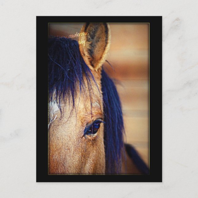 Öga Spy - vykort (Framsida)