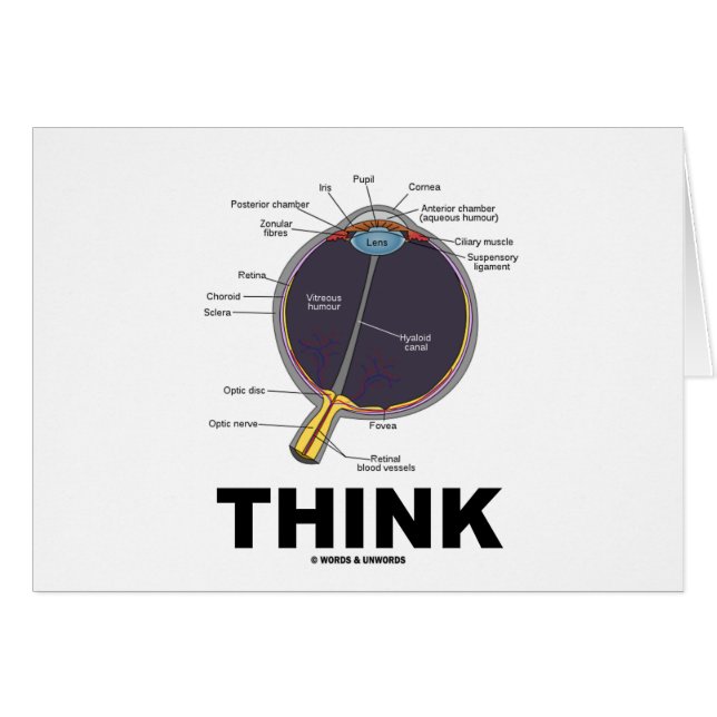 (Öga) Tänka (Anatomiskt Humor) Hälsningskort (Framsidan Horizontal)