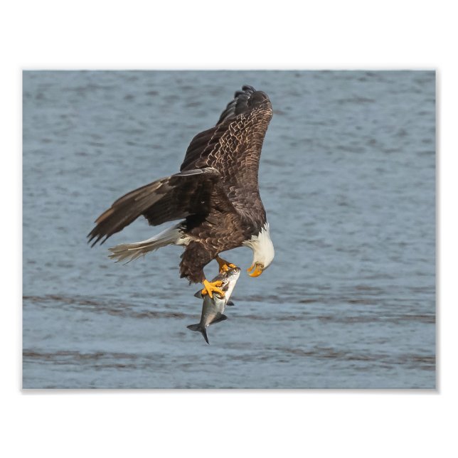 Öga till Öga Fototryck (Framsidan)