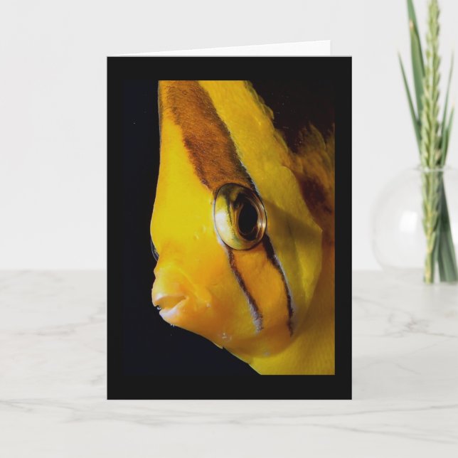 Öga till Öga Kort (Framsida)