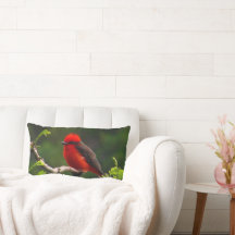 Öga till Öga Lumbar Pillow