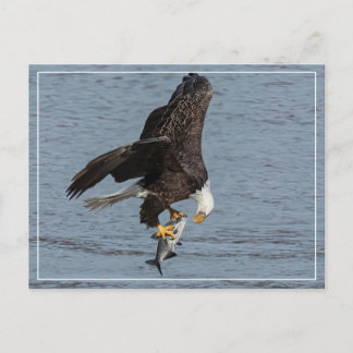 Öga till Öga Vykort