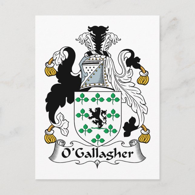 O'Gallagher Family Crest Vykort (Framsida)