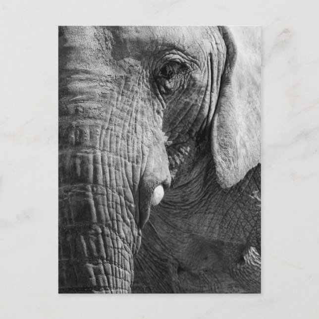 Ögaspion Vykort (Framsida)