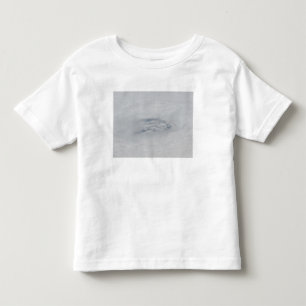 Ögat av orkanräkningen t-shirt