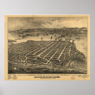 ögat för 1880'sSan Diego CA fåglar beskådar de Poster