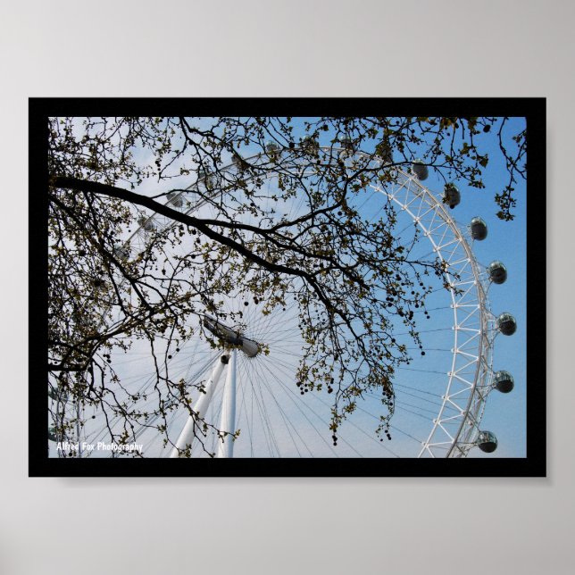 Ögat genom höstlöv poster (Framsidan)
