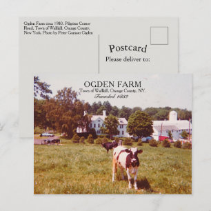 Ogden Farm Town of Wallkill Orange County NY 1980 Vykort
