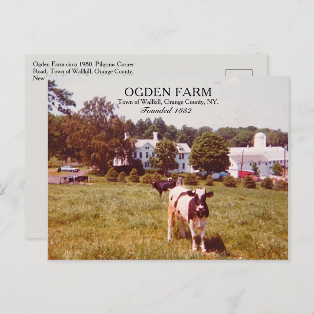 Ogden Farm Town of Wallkill Orange County NY 1980 Vykort (Fram/baksida)