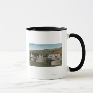 Ogden UtahView av Artesian ParkOgden, Utah Mugg