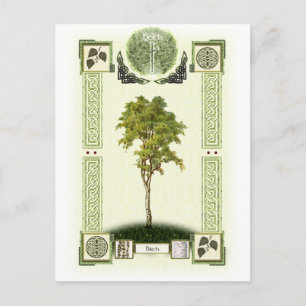Ogham Birch Vykort