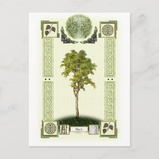 Ogham Birch Vykort