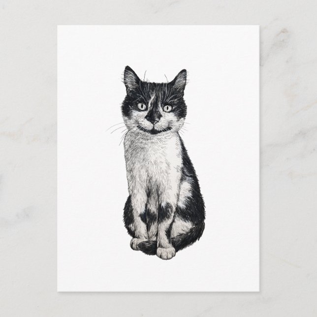 Ogie katten vykort (Framsida)