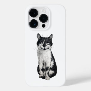 Ogie the cat