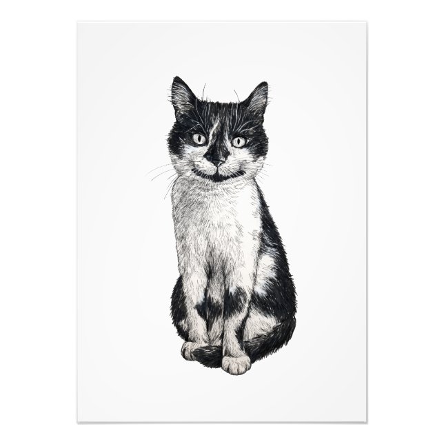 Ogie the cat fototryck (Framsidan)