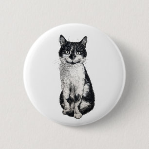 Ogie the cat knapp