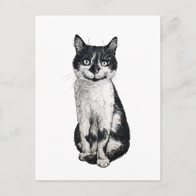 Ogie the cat vykort (Framsida)