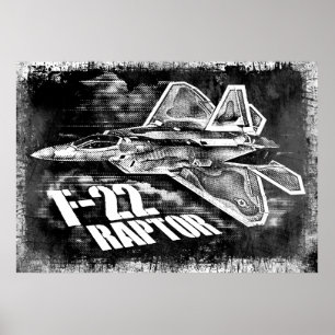 OGILTIG ROVFÅGEL F-22 POSTER