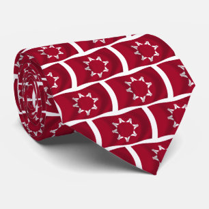 Oglala Lakota Flag Tie Slips