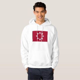 Oglala Lakota Sioux-flagga Hoodie