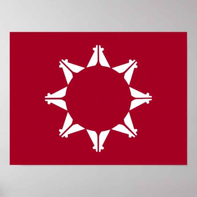 Oglala Lakota Sioux Flagga Poster (Framsidan)