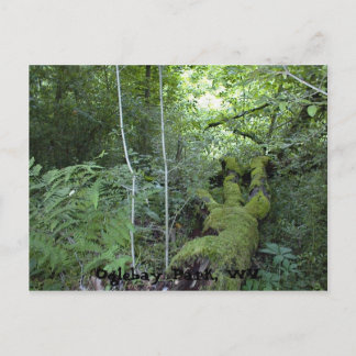 Oglebay Park, WV Vykort