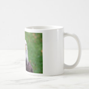 Ögon av en havsörn kaffemugg