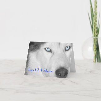 Ögon av en Siberian II (B/W) Kort